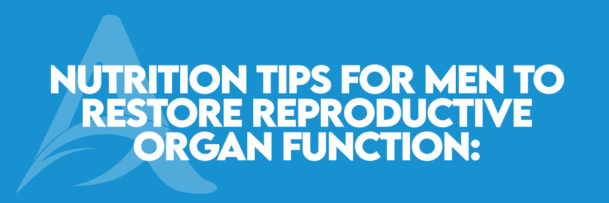Nutrition Tips for Men to restore Reproductive Organ function: